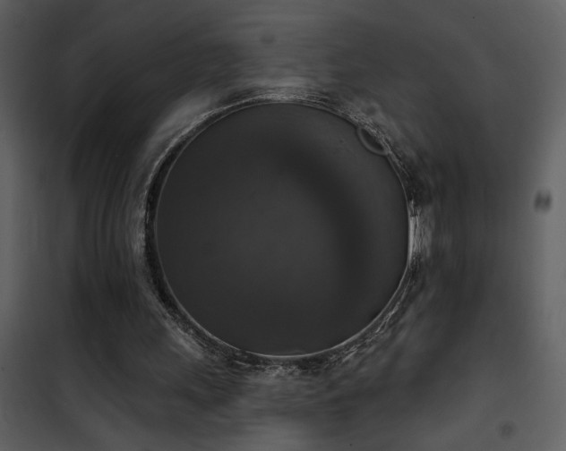 X0000101970243200807181111