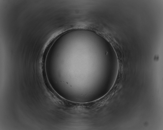 X0000101970244200807181111