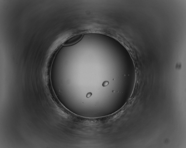 X0000101970245200807181112