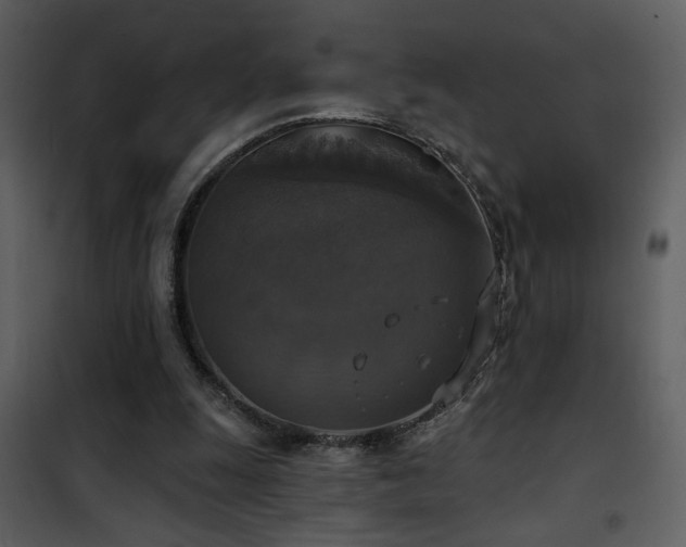 X0000101970247200807181112