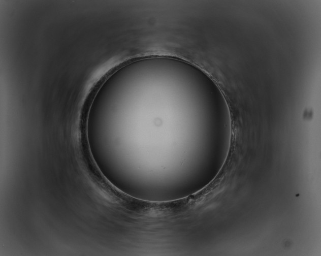 X0000101970248200807181112