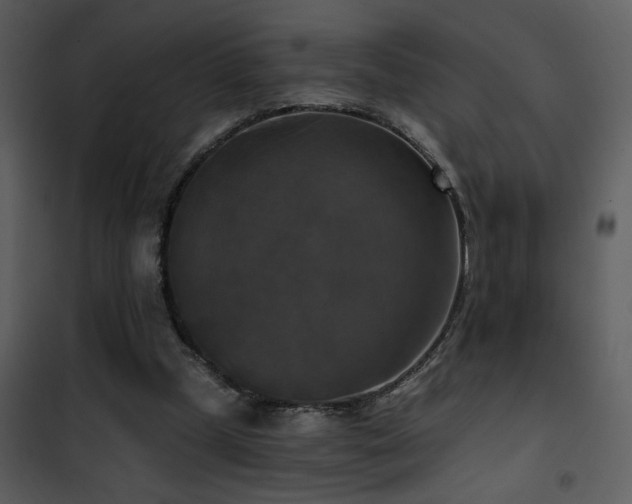 X0000101970249200807181112