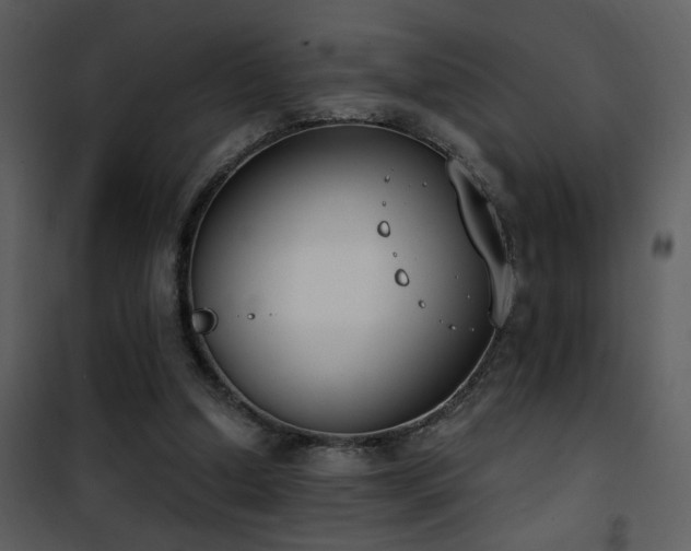 X0000101970250200807181112