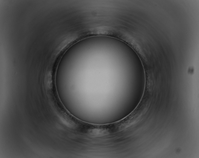 X0000101970251200807181112