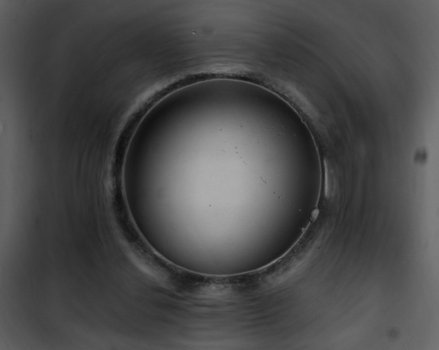 X0000101970252200807181112