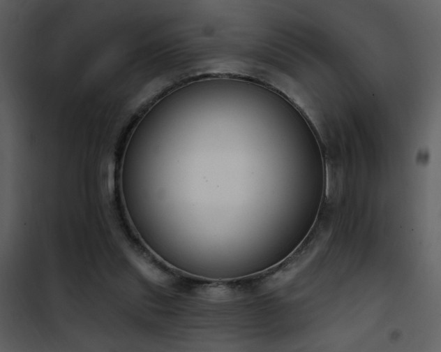 X0000101970253200807181112