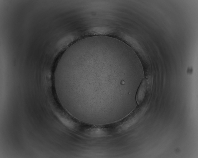 X0000101970254200807181112