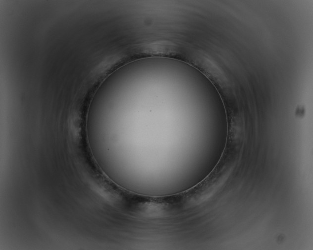 X0000101970255200807181112