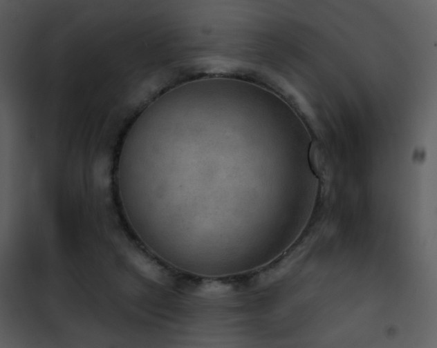 X0000101970257200807181112
