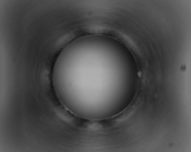 X0000101970258200807181112
