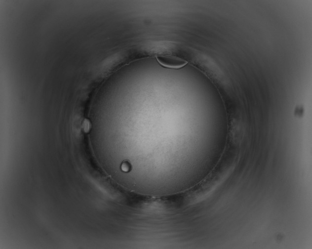 X0000101970259200807181112