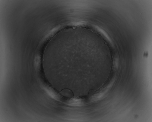 X0000101970260200807181112