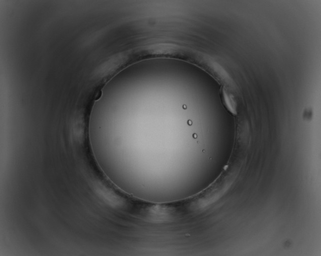 X0000101970261200807181112