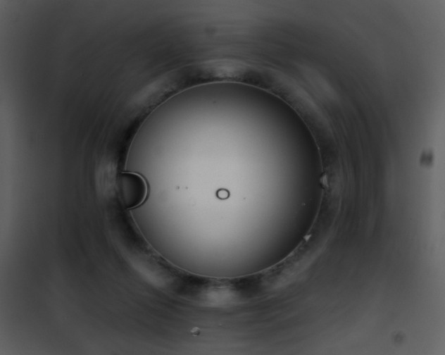 X0000101970262200807181112