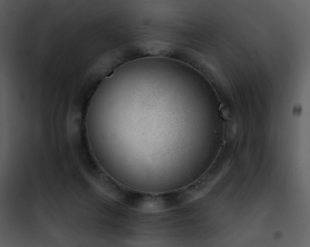 X0000101970263200807181112