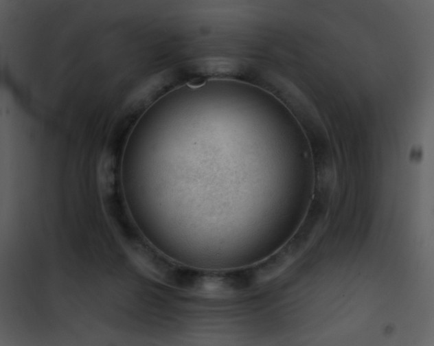 X0000101970264200807181112