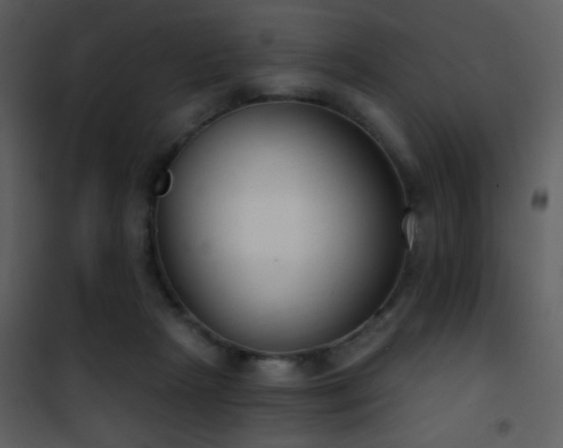 X0000101970265200807181112