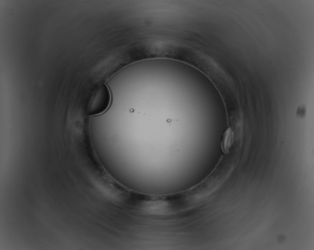 X0000101970266200807181112
