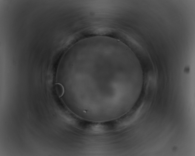 X0000101970268200807181112