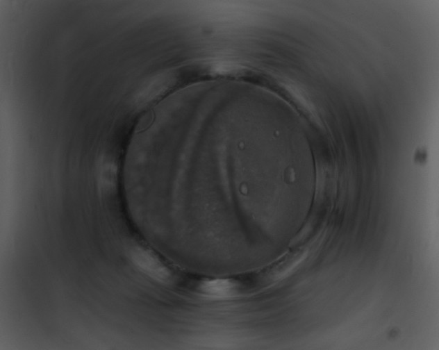 X0000101970269200807181112