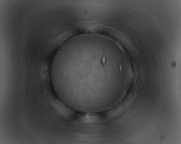 X0000101970270200807181112