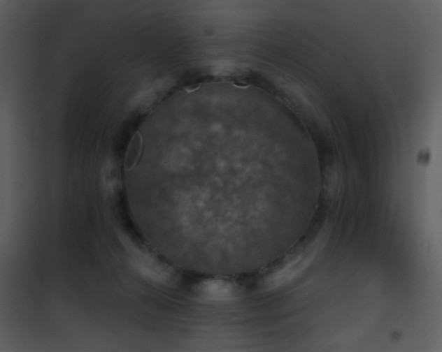 X0000101970272200807181112