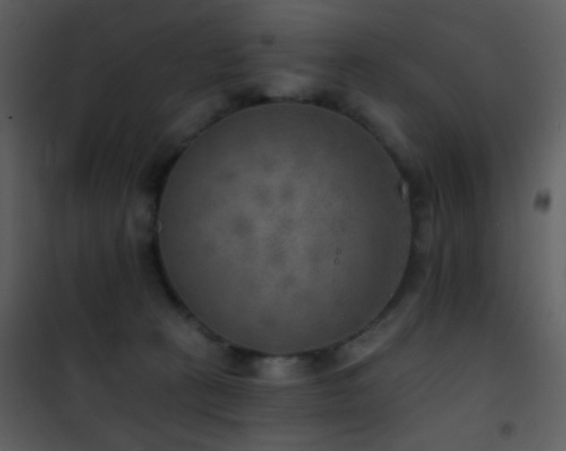 X0000101970273200807181112