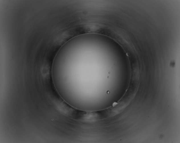 X0000101970274200807181112