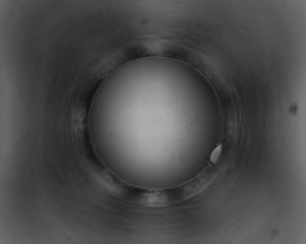 X0000101970275200807181112