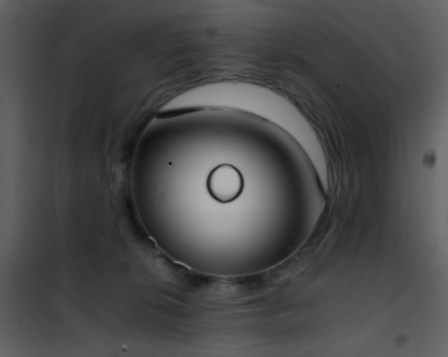 X0000101970276200807181112