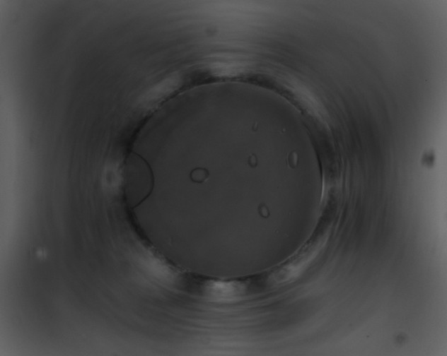 X0000101970277200807181112