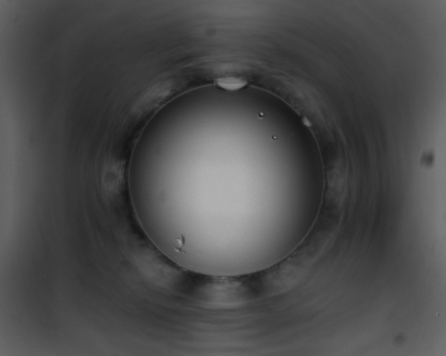 X0000101970278200807181112