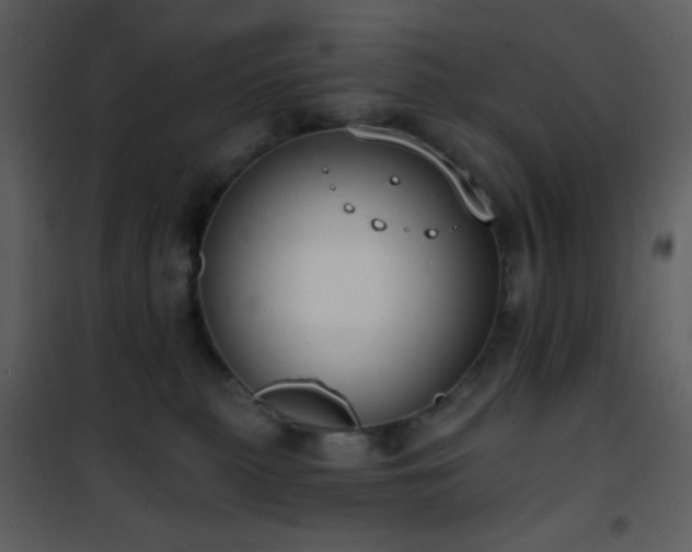 X0000101970279200807181112