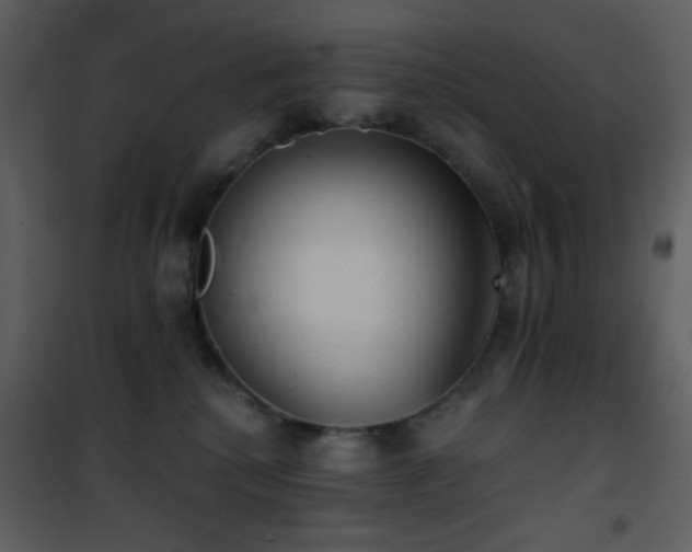 X0000101970280200807181112