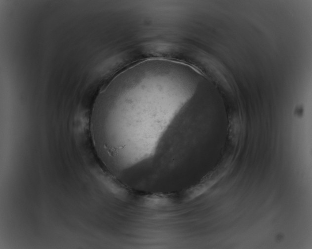 X0000101970284200807181112