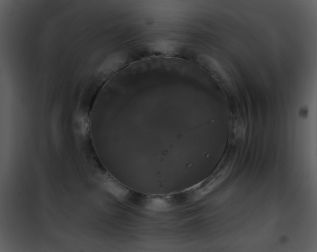 X0000101970285200807181112