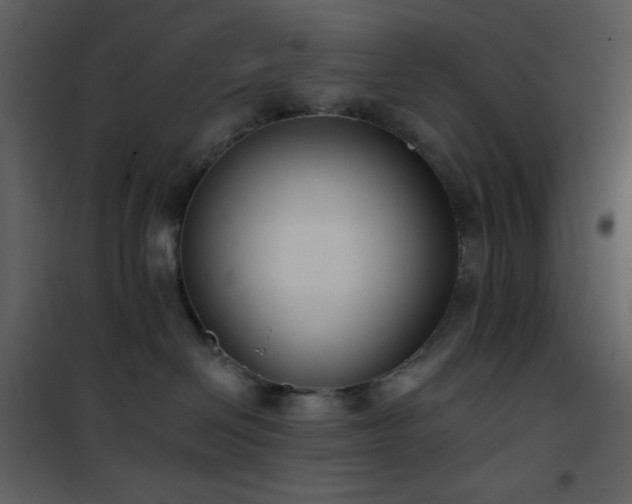X0000101970286200807181112