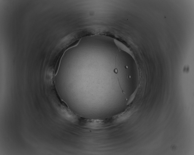 X0000101970288200807181112