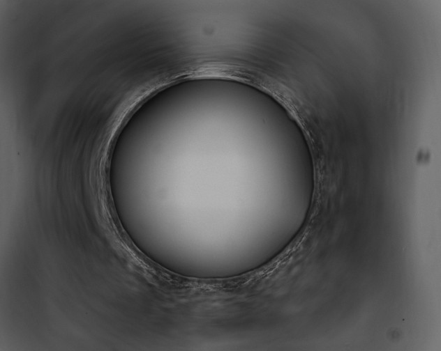 X0000101970289200807181111