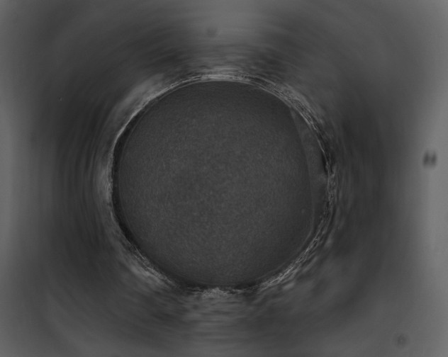 X0000101970290200807181111