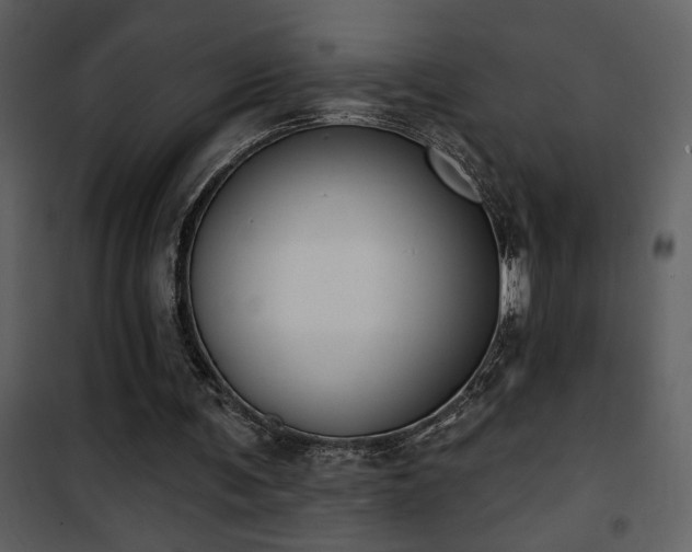 X0000101970291200807181111