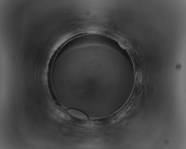 X0000101970292200807181111