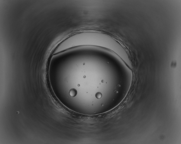 X0000101970293200807181111