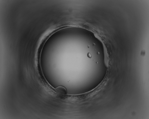 X0000101970294200807181111