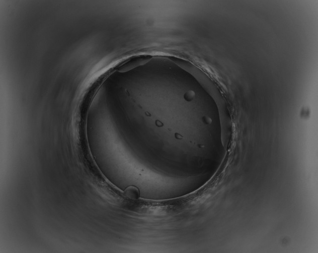 X0000101970295200807181111