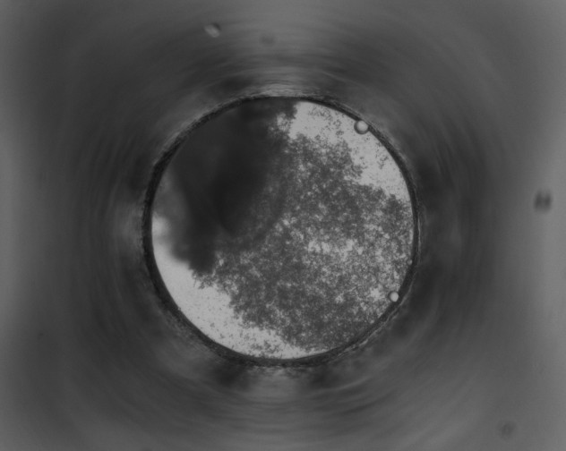 X0000101970297200807181111
