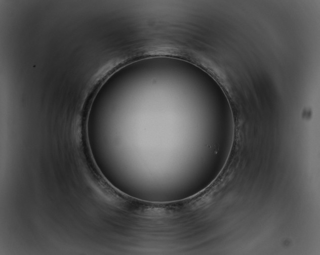 X0000101970298200807181111