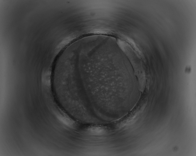 X0000101970299200807181111
