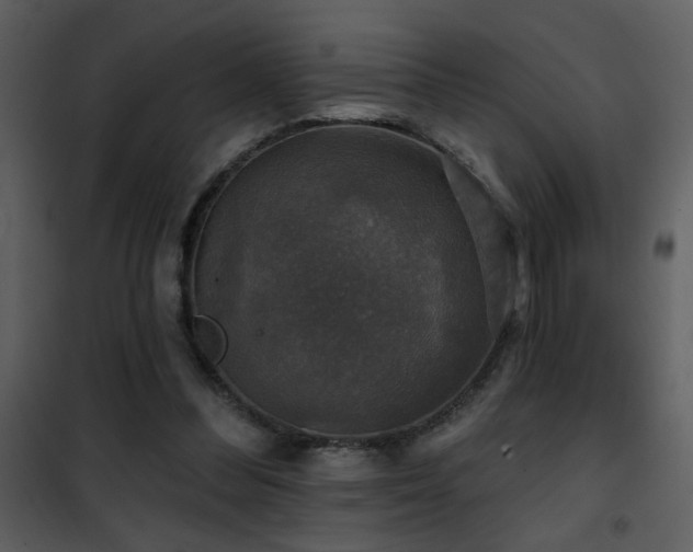 X0000101970300200807181111