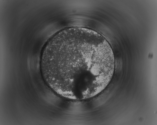 X0000101970301200807181111
